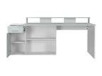 Zensova LTTA61652 1-Door 1-Drawer White and Grey Melamine Desk
