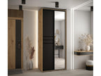 Lumenao 11 Sliding Door Wardrobe 235.2/110/60 2 Doors PGBD72595