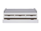 Zensova - Trundle Bed 90x200cm with 3 Drawers, Solid Wood, White Varnish QHTK13228