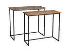 Ventoriq Wood and Metal Consoles, Set of 2 ILIZ56916