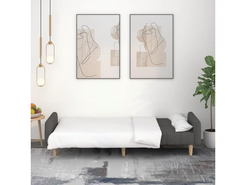 Dark grey fabric 2-seater sofa bed DKSG60439